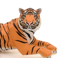 スマトラトラ：Sumatran Tiger      （紙工作キット）