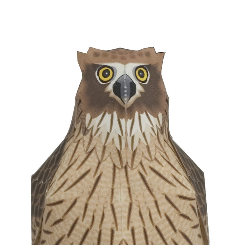 フクロウページ シマフクロウ：Blakiston's Fish-Owl（紙工作キット