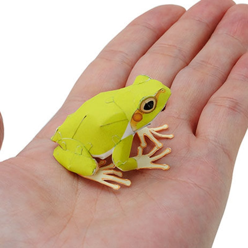 あまがえる(ハガキサイズ):Japanese Tree Frog(紙工作キット あまがえる(ハガキサイズ):Japanese Tree Frog(紙工作キット