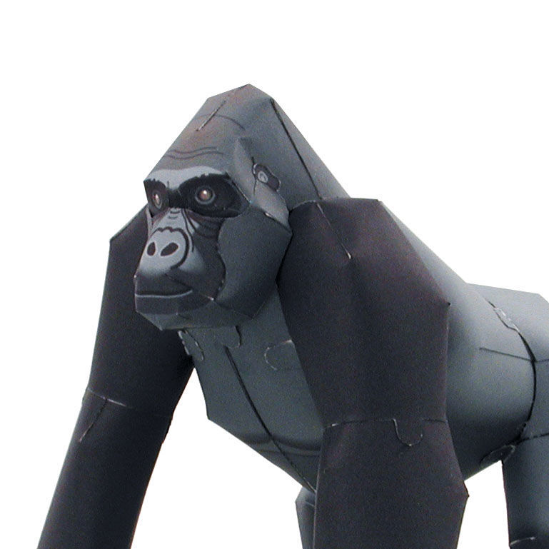 ★ゴリラ　全5枚 スーパーゴリラのひとつき SGA-2501【KA】 | DOSHISHA Marche