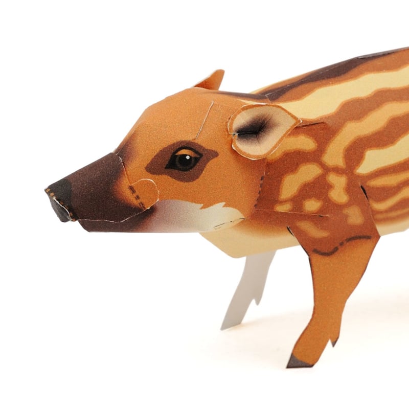 ウリ坊（イノシシ） ：Wild boar Cub（紙工作キット