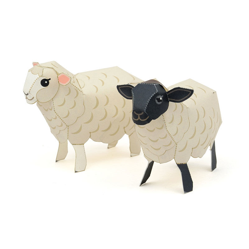 ひつじ（コリデール種＆サフォーク種） ：Corriedale Sheep & Suffolk