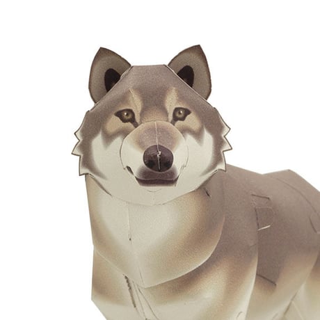 タイリクオオカミ：Grey Wolf（紙工作キット）