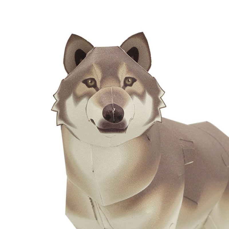 タイリクオオカミ:Grey Wolf(紙工作キット) | KeiCraft タイリクオオカミ:Grey Wolf(紙工作キット) | KeiCraft