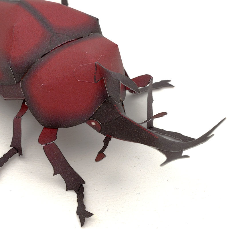 カブトムシ：Japanese rhinoceros beetle（紙工作キット） | KeiC