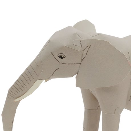 アフリカゾウ：African Elephant      （紙工作キット）