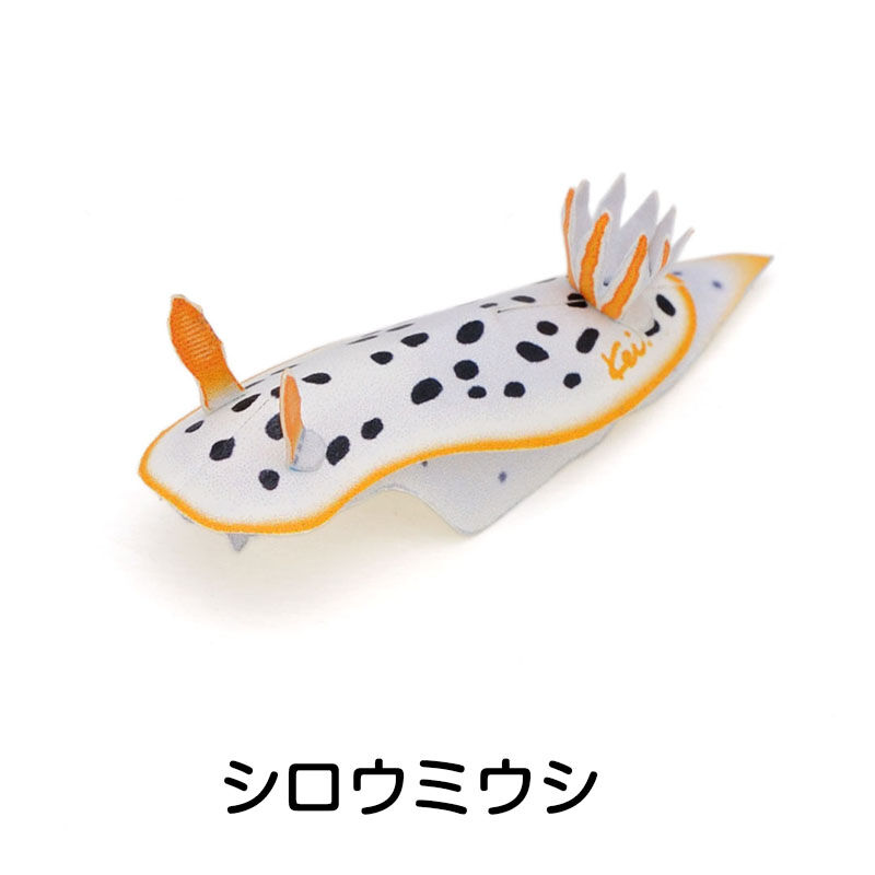 ウミウシ ：Sea Slug（紙工作キット） | KeiCraft Online Shop