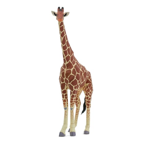 アミメキリン：Reticulated Giraffe      （紙工作キット）