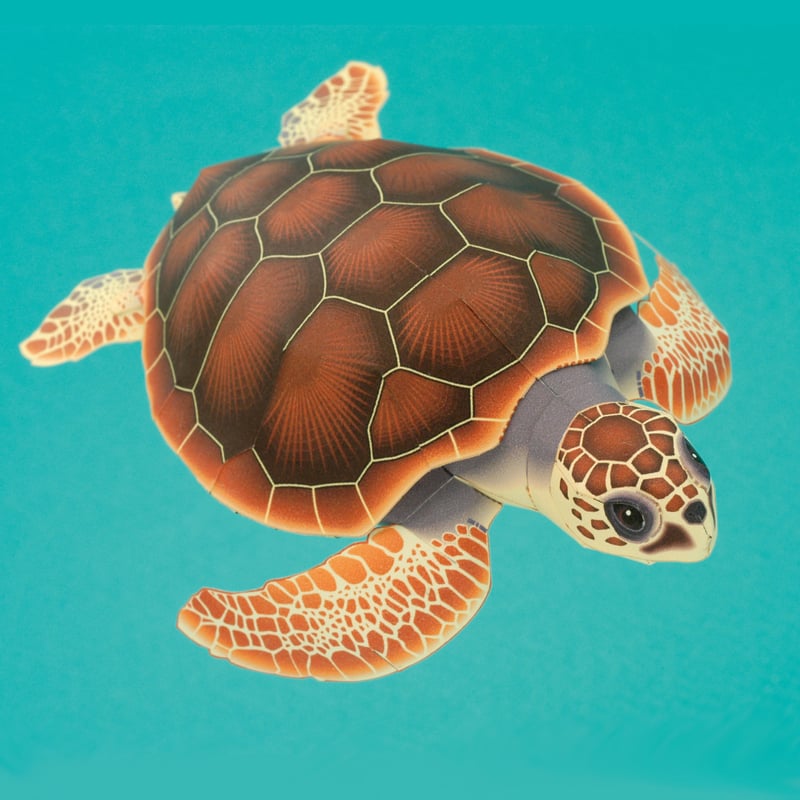アカウミガメ：Loggerhead turtle（紙工作キット） | KeiCraft Onl