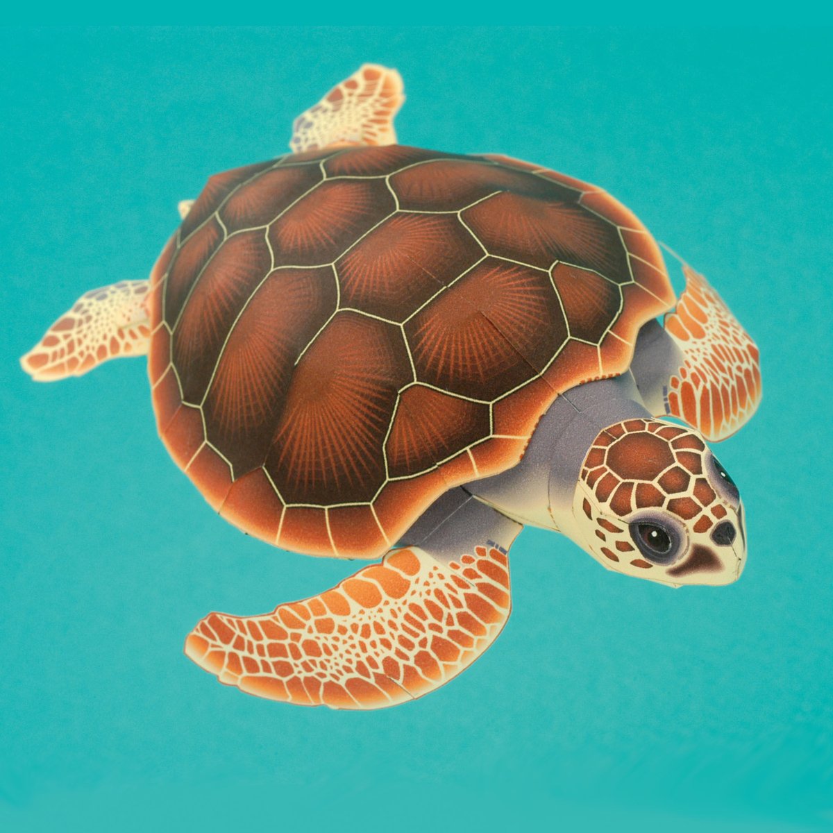 ウミガメ レプリカ 海洋生物 のリアルなハンドメイド作品 ウミガメ レプリカ 海洋生物 のリアルなハンドメイド作品