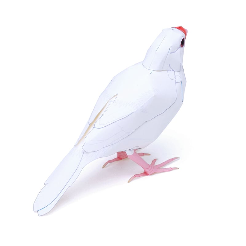 文鳥のてんちゃんペーパークラフト（無料データ） | KeiCraft Online Shop