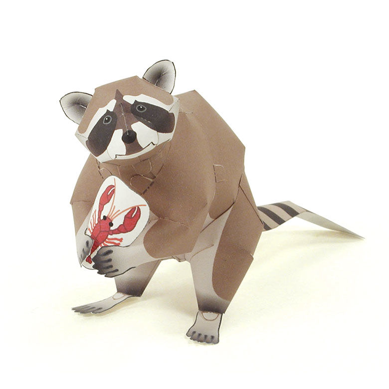 アライグマ：Raccoon（紙工作キット） | KeiCraft Online Shop