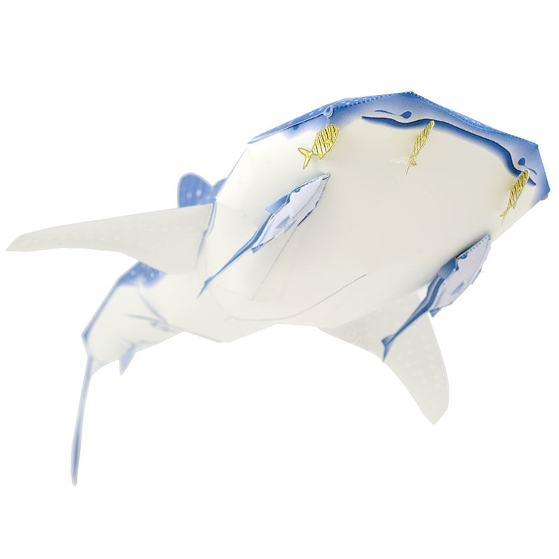 ジンベエザメ：Whale Shark（紙工作キット） | KeiCraft Online Shop