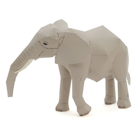 アフリカゾウ：African Elephant      （紙工作キット）
