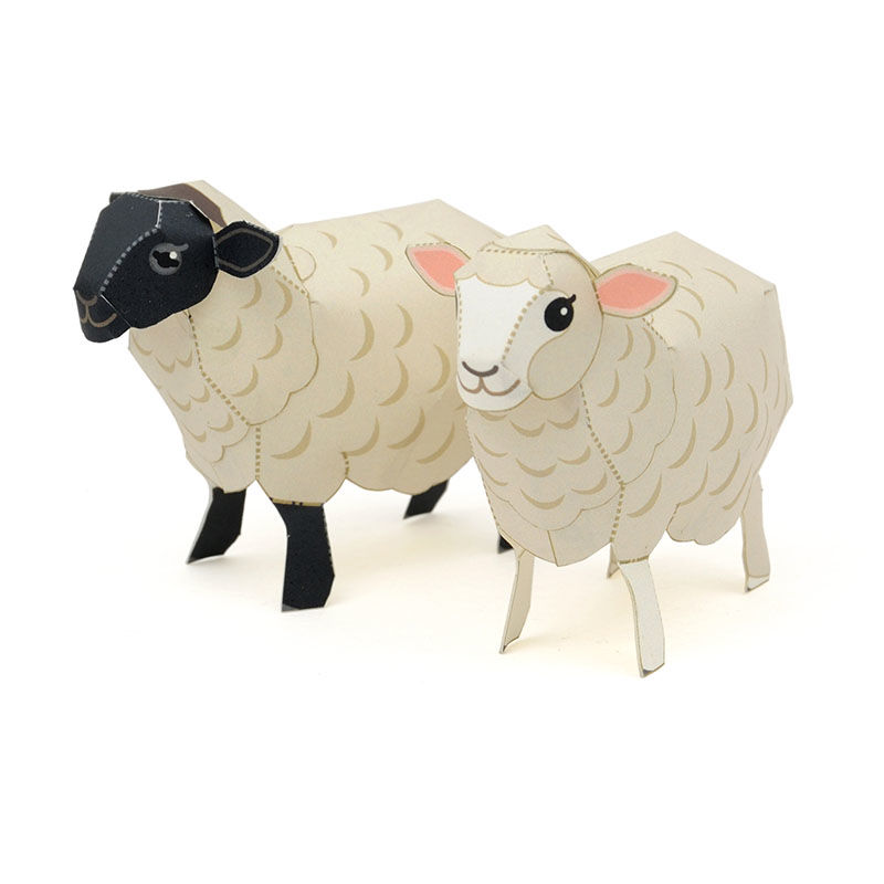 ひつじ（コリデール種＆サフォーク種） ：Corriedale Sheep & Suffolk