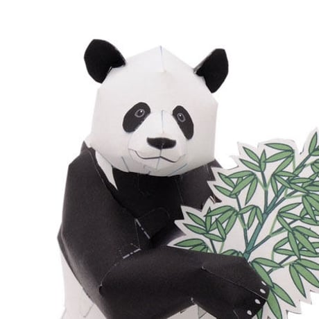 giantpanda | STORES