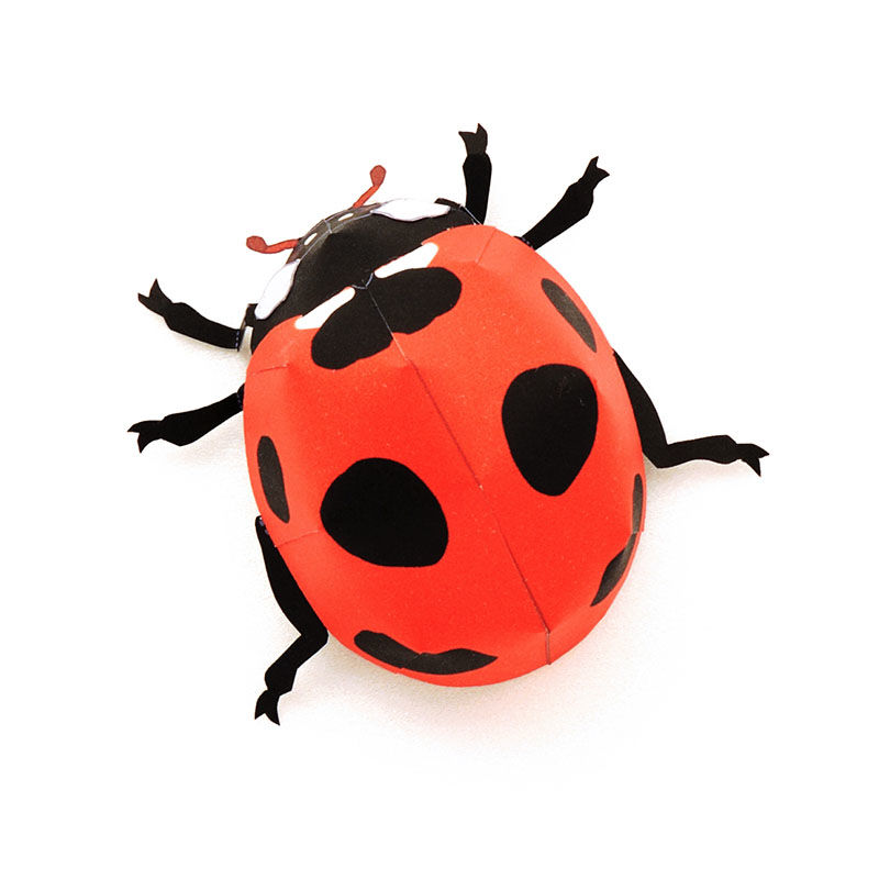 テントウムシ ：Ladybird（紙工作キット） | KeiCraft Online Shop