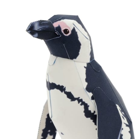 ケープペンギン：African Penguin（紙工作キット）