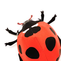 テントウムシ ：Ladybird（紙工作キット）