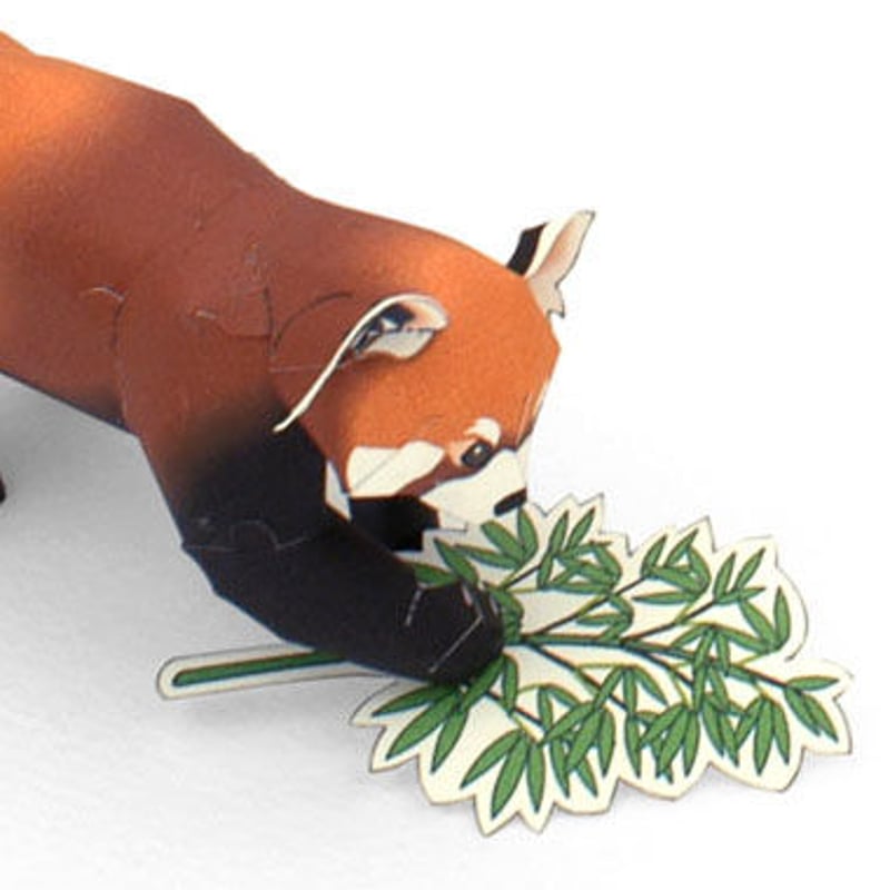 レッサーパンダ：Lesser Panda（紙工作キット） | KeiCraft Online