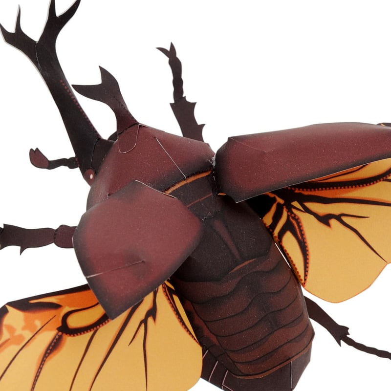 カブトムシ＜飛翔＞：Japanese rhinoceros beetle（紙工作キット