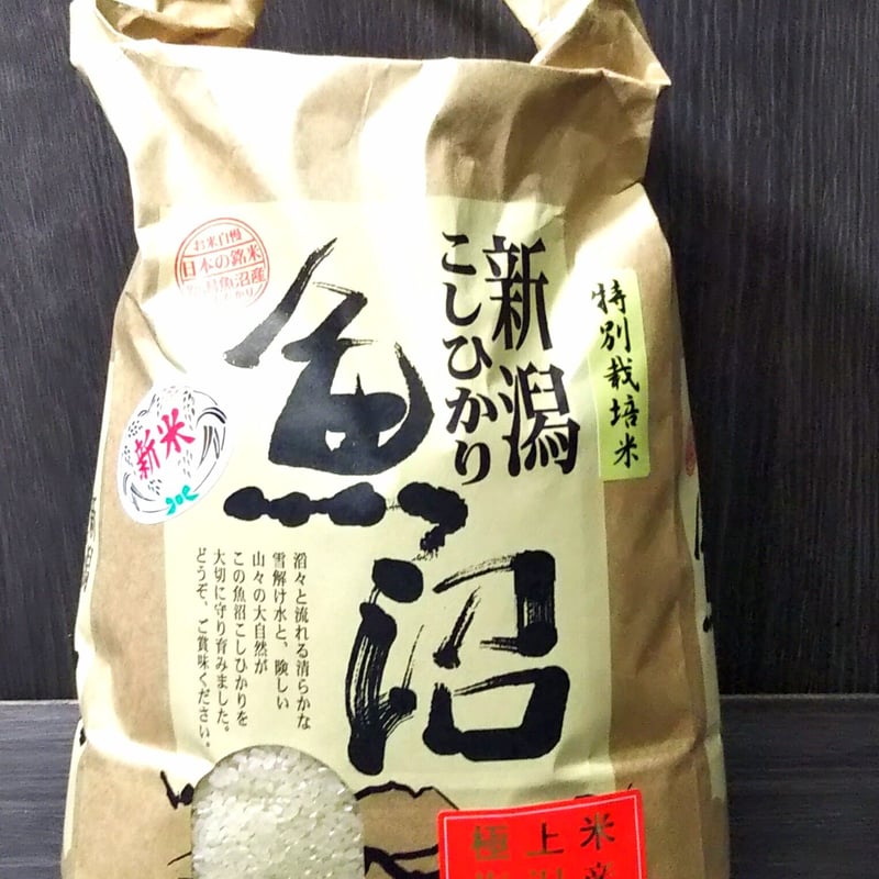 通販 魚沼産コシヒカリ 5kg 7月下旬入荷予定 2026年新緑号 29 魚沼