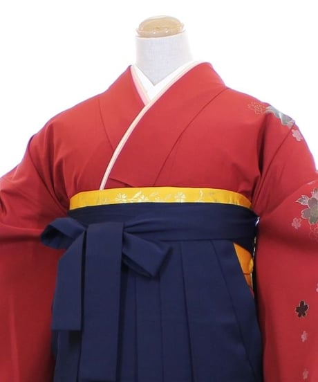 [レンタル] 元禄小振袖  TM62019