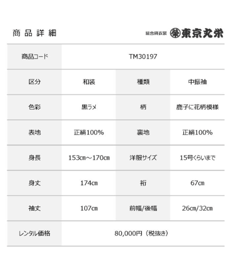 [レンタル] 中振袖 TM30197