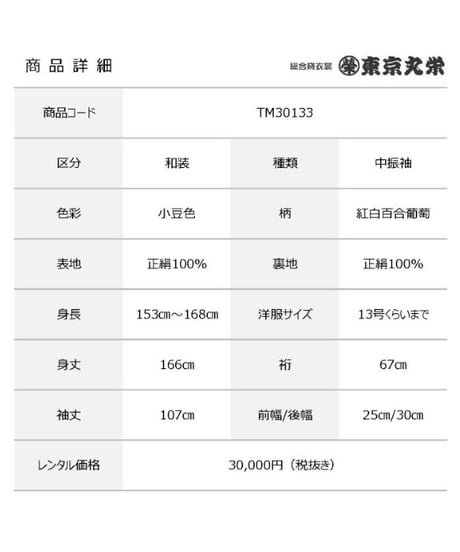 [レンタル] 中振袖 TM30133