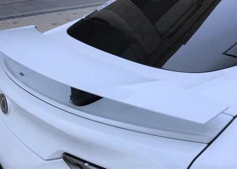 LEXON  LC 500/500h デュアルウイングキット