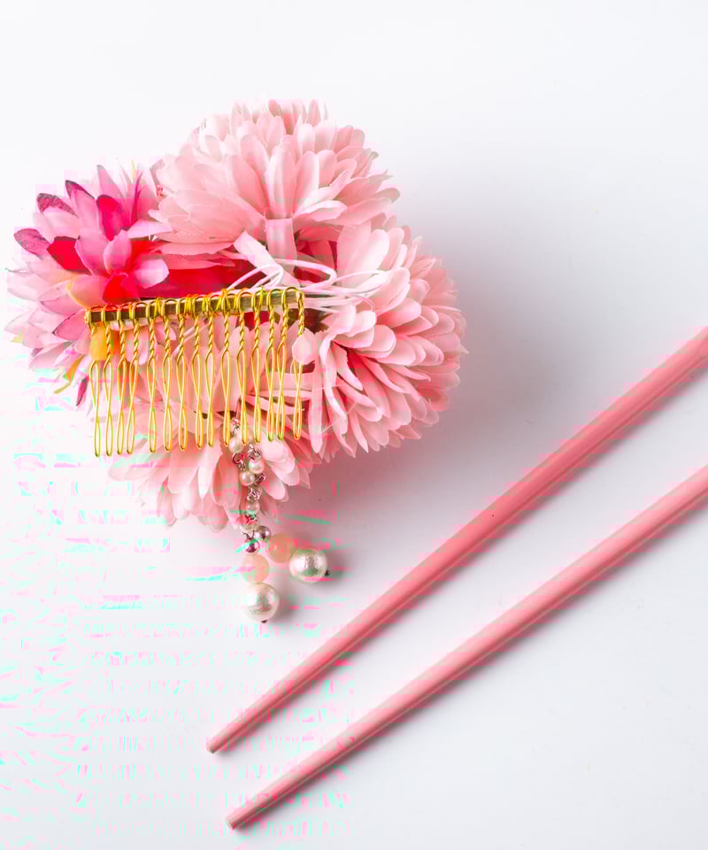 hanaページ AMBIDEX Store △〇追憶の花 jacquard ギャザーパンツ(F