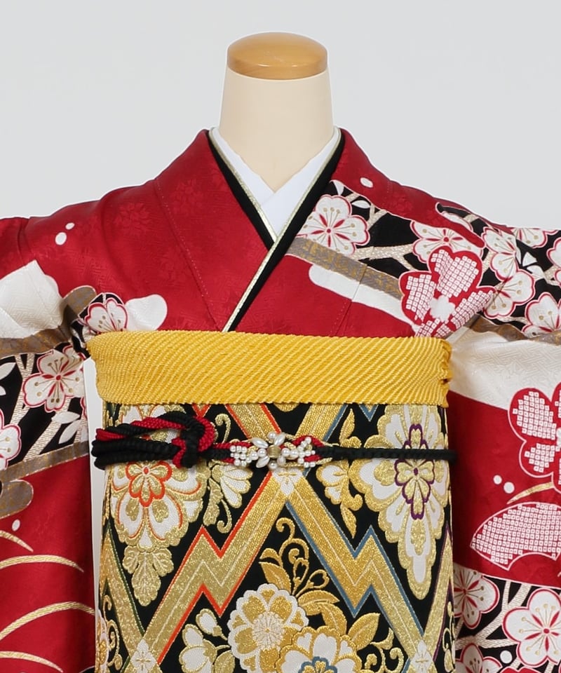 花139【Web限定】振袖レンタル（成人式・一般着用） | 宅配着物