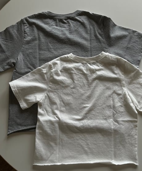 original logo t shirt white/gray