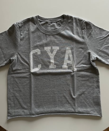 original logo t shirt white/gray