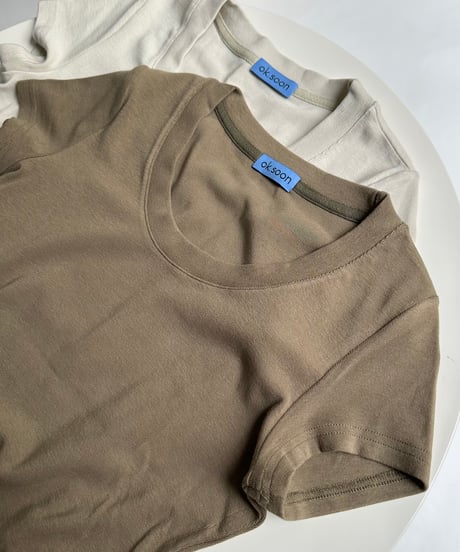 earth color set up