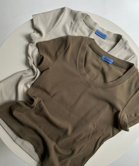 earth color set up