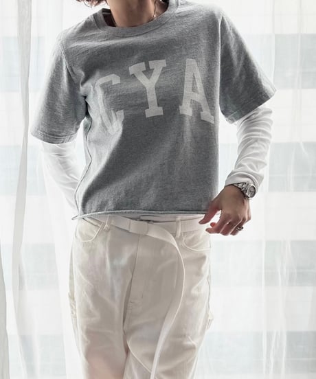 original logo t shirt white/gray