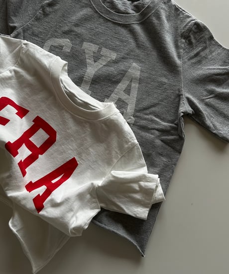 original logo t shirt white/gray
