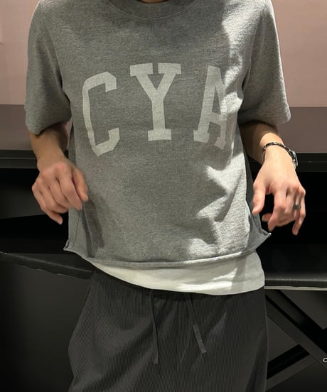 original logo t shirt white/gray