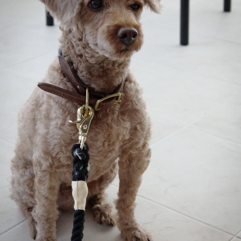 TOM'S PET SUPPLIES】犬用リード レザーハンドル/コットンロープ TOM'S PET SUPPLIES】犬用リード レザーハンドル/コットンロープ
