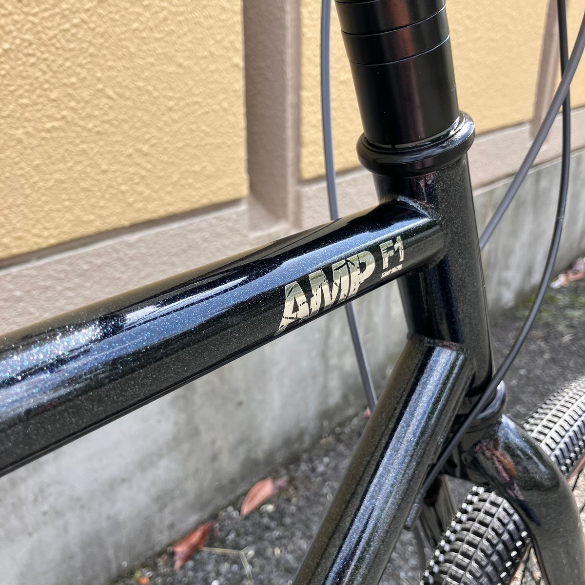 Tern：ROJIBIKE AMP F1 GALAXY Custom | Lost & F