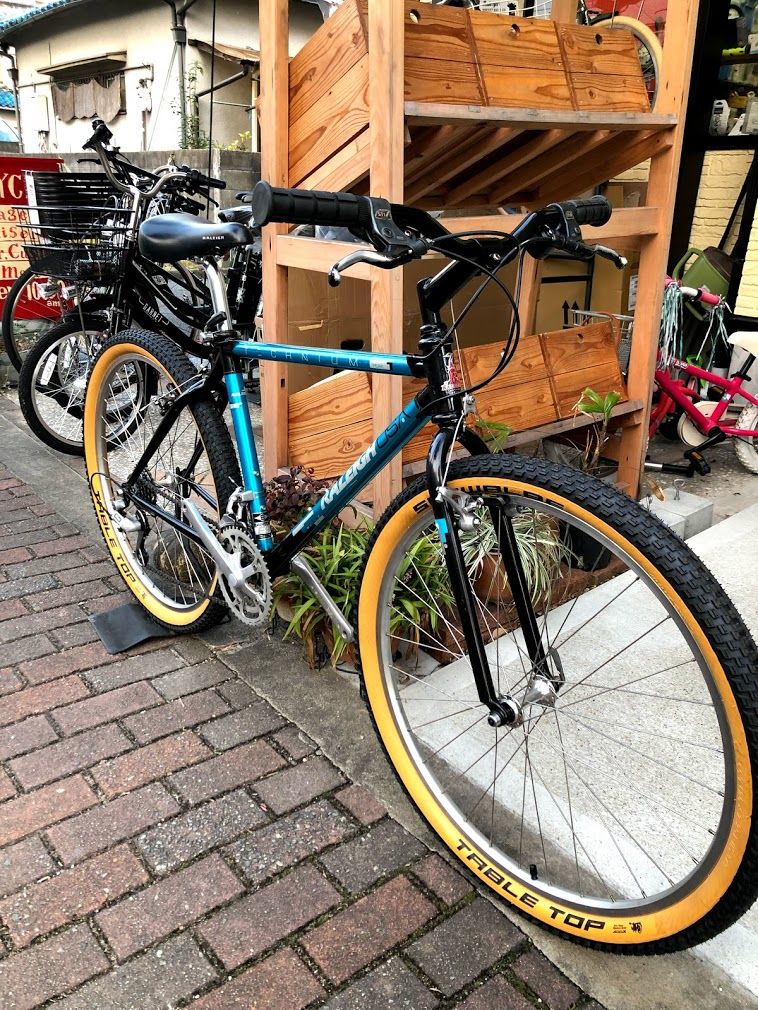 OLD MTB】RALEIGH USA ：1989 TECHNIUM PEAK 1989ラレ