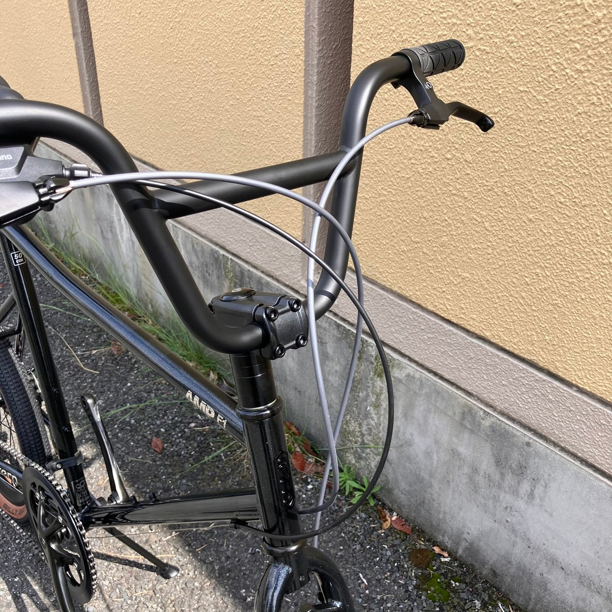 Tern：ROJIBIKE AMP F1 GALAXY Custom | Lost & F