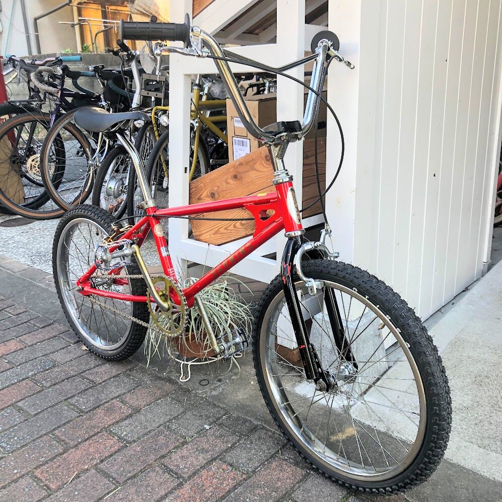 OLDSCHOOL BMX】SCHWINN ： 1983 THRASHER | Lost &