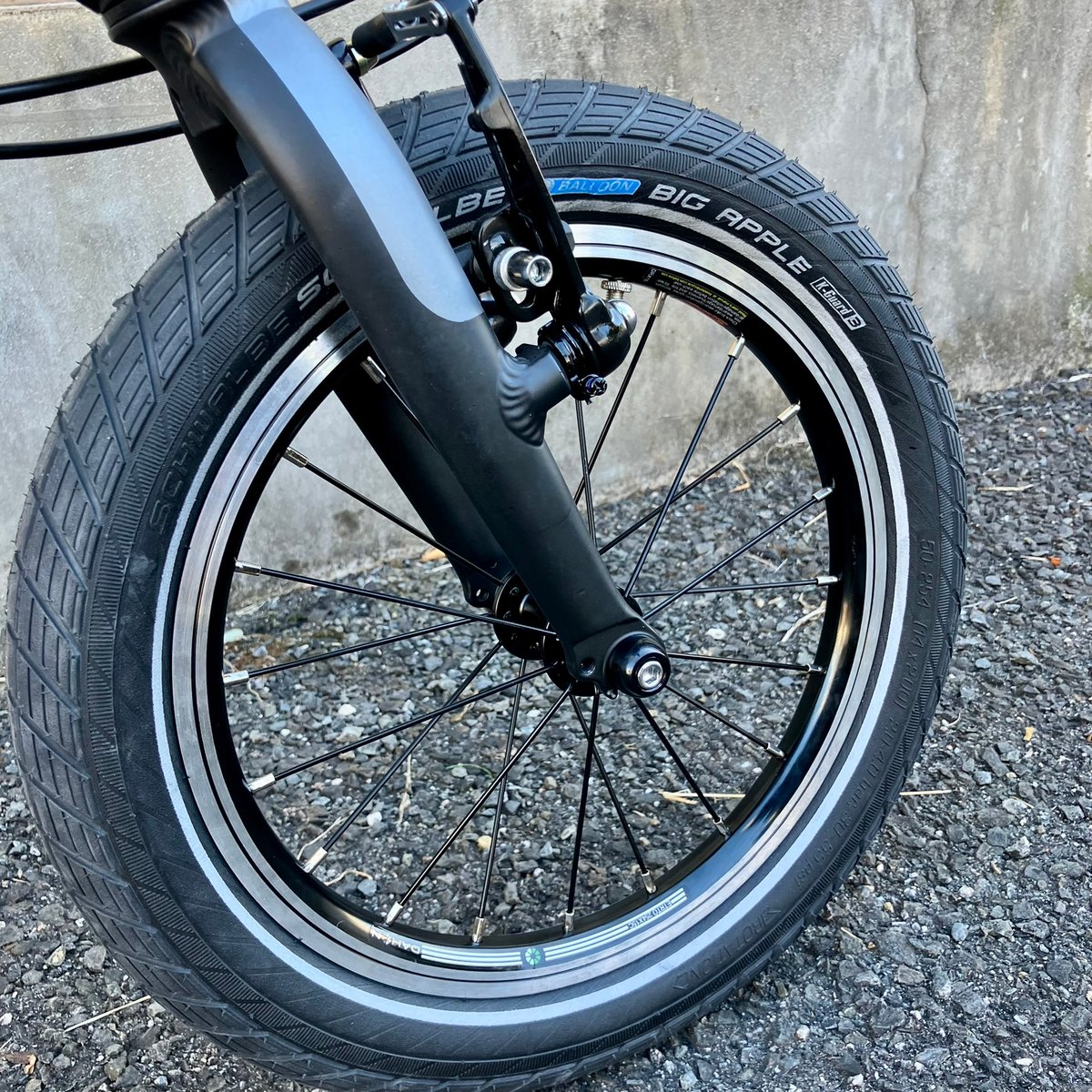 DAHON：K3 w/ Schwarbe BIG APPLE | Lost & Found