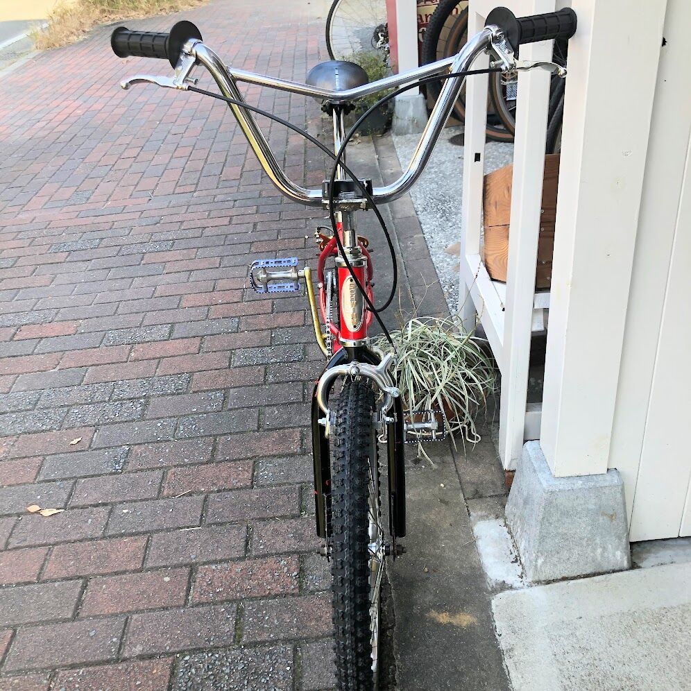 OLDSCHOOL BMX】SCHWINN ： 1983 THRASHER | Lost &