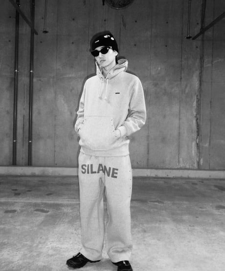 SILANE original set up