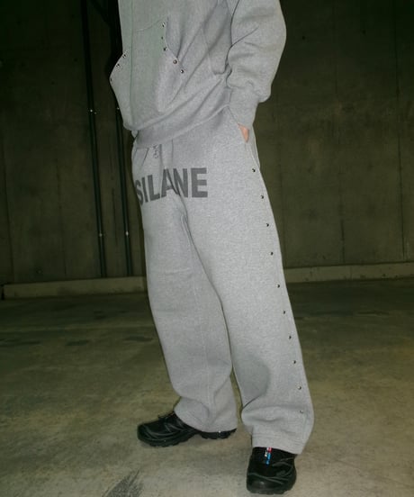 SILANE original set up