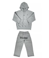 SILANE original set up
