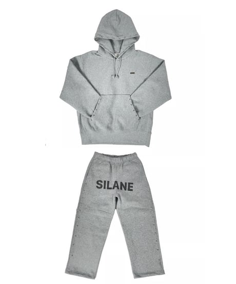 SILANE original set up